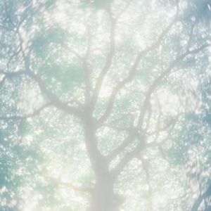 女骑士之堕落篇冷狐版攻略
