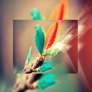 女骑士之堕落篇冷狐版攻略
