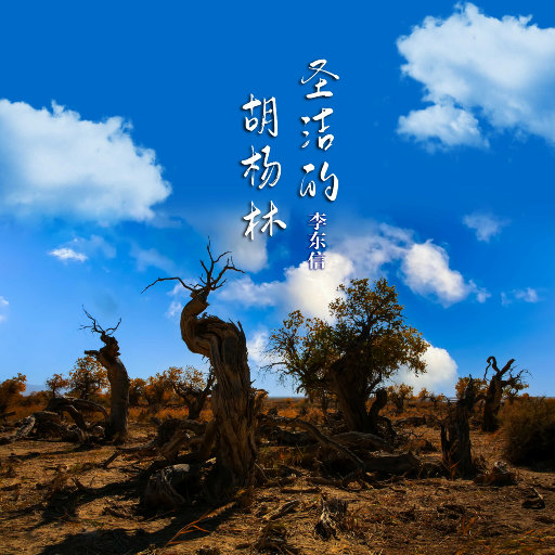 女骑士之堕落篇冷狐版攻略
